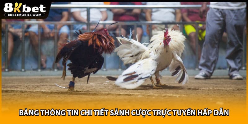 Bảng thông tin chi tiết sảnh cược trực tuyến hấp dẫn